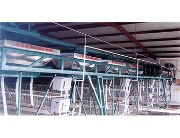 蛋、種雞自動(dòng)給料機(jī)